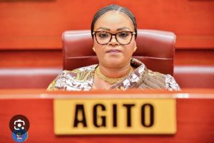 Arrestation de Carole Agito : le Sénat dénonce une procédure illégale